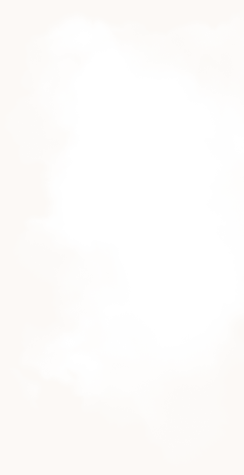 Aurora Bloemsierkunst Helmond foto 2